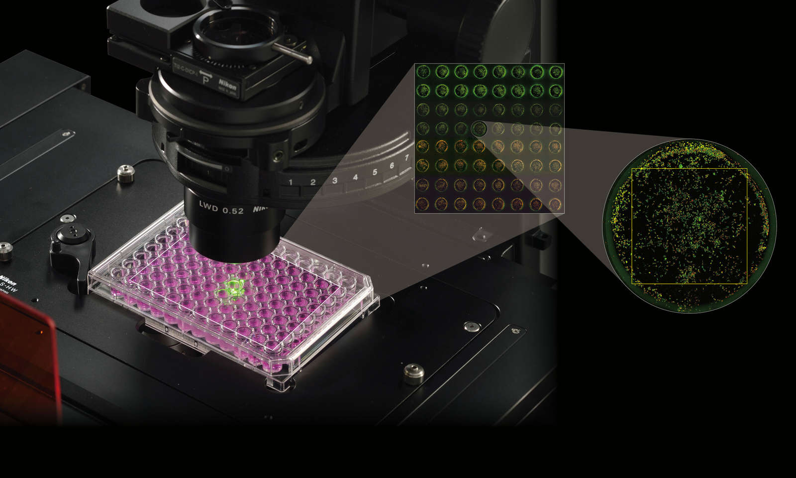 high-throughput-imaging-life-sciences-solutions-nikon-instruments