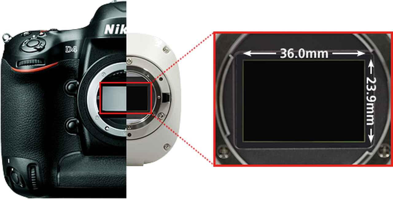 DSQi2 Cameras Products Nikon Instruments Inc.