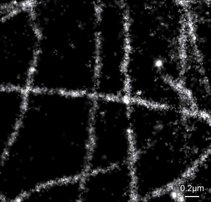 N Storm 超分辨显微镜 产品 尼康仪器 上海 有限公司