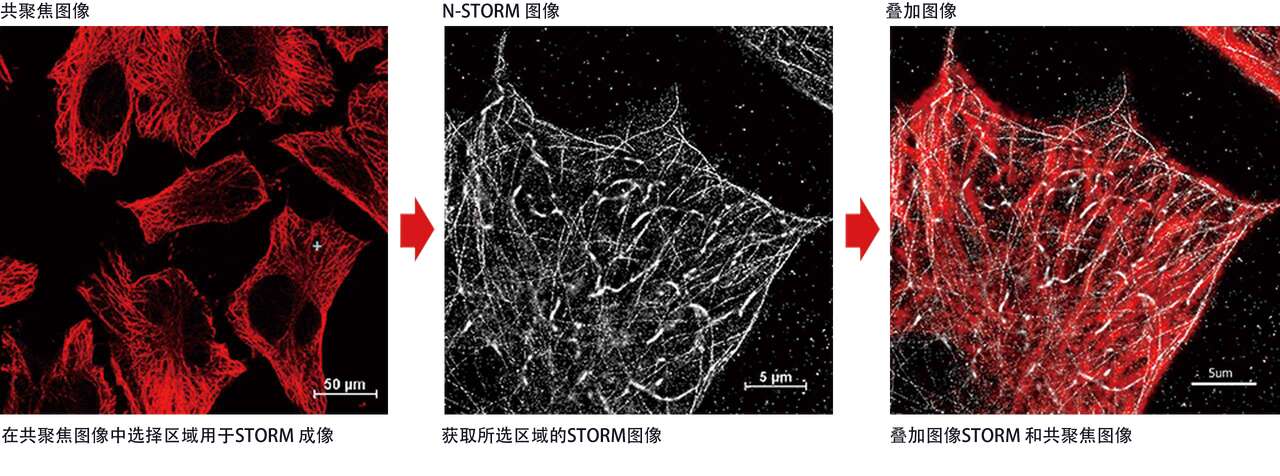 N Storm 超分辨显微镜 产品 尼康仪器 上海 有限公司