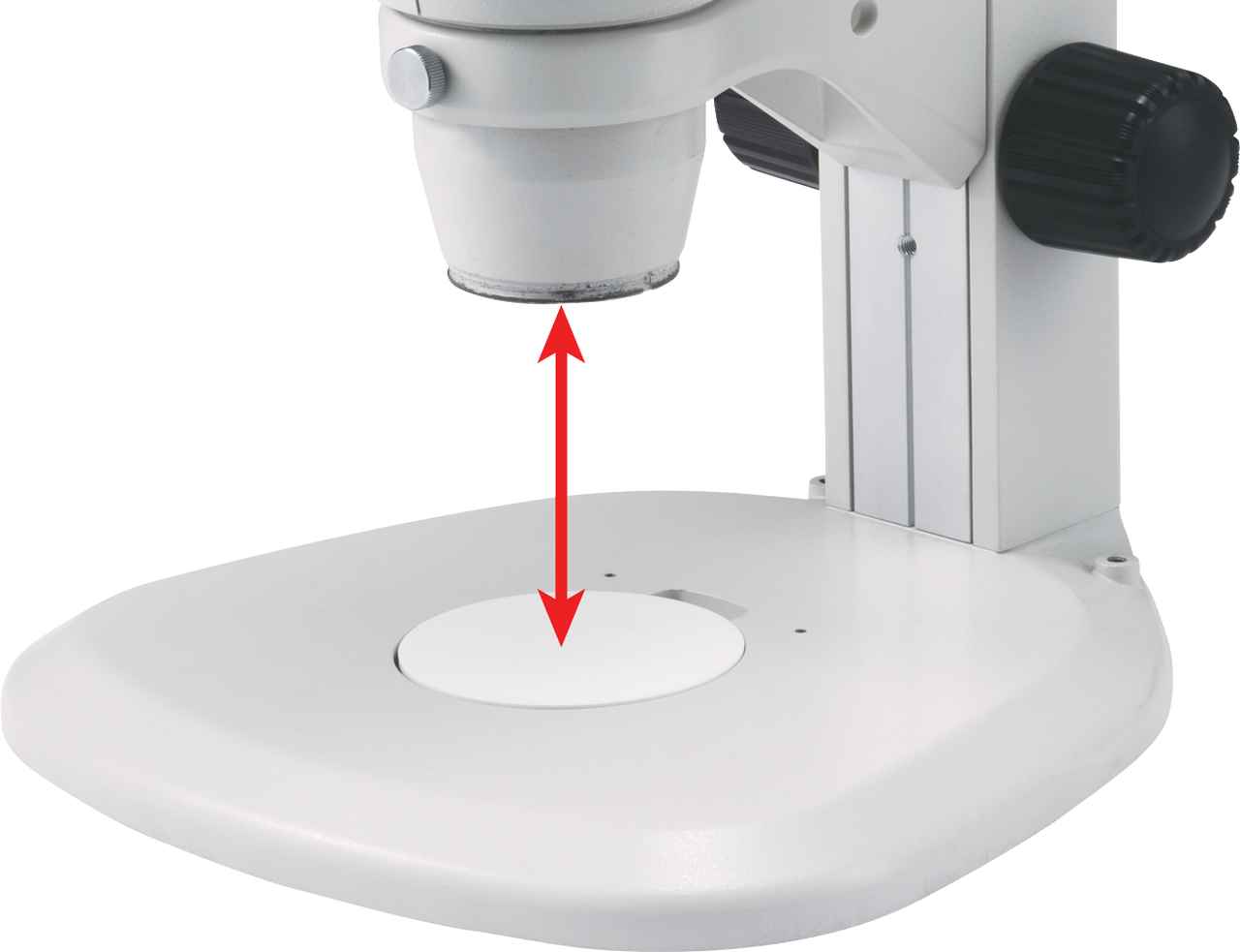 SMZ745 / SMZ745T Stereomicroscopes Products Nikon Instruments Inc.