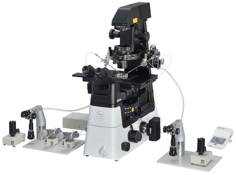 Inverted Microscopes Products Nikon Instruments Inc.