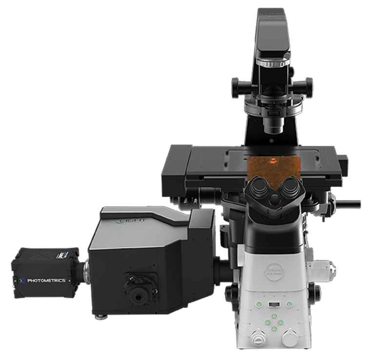 Confocal Microscopes | Products | Nikon Instruments Inc.