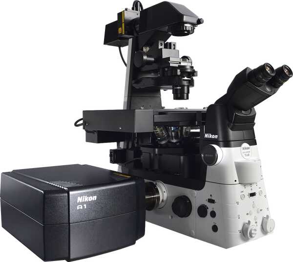 Confocal Microscopes | Products | Nikon Instruments Inc.