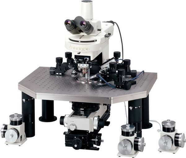 Upright Microscopes Products Nikon Instruments Inc